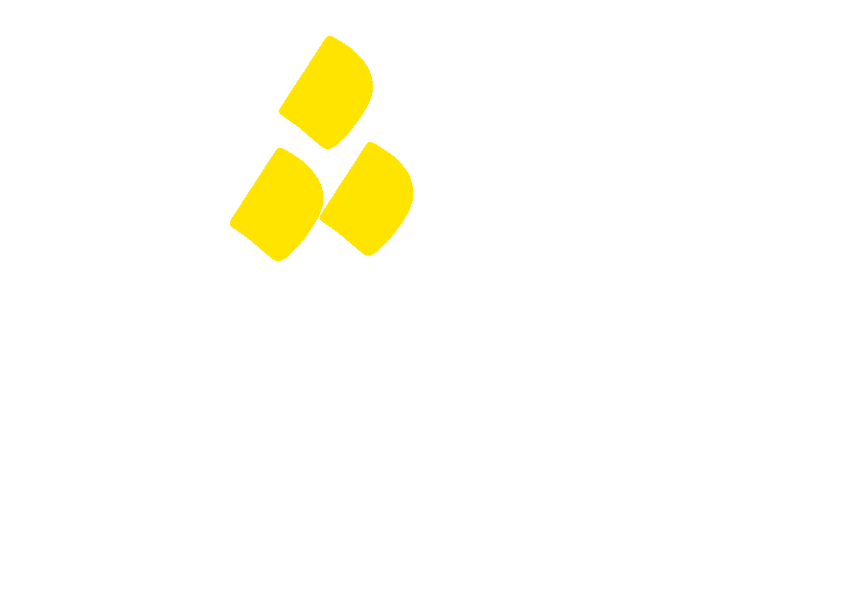 آکادمی طلاشو