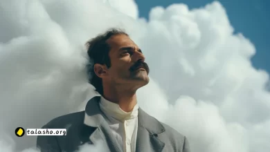 کمال گرایی چیست