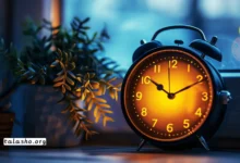 مدیریت زمان چیست؟